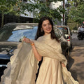 Party Wear Gown
