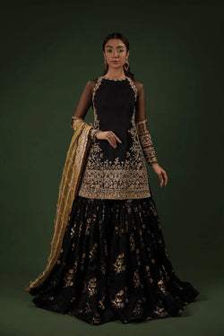 Sharara Plazzo Set